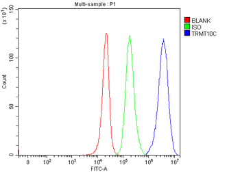 TRMT10C Antibody