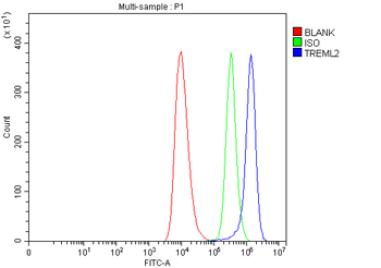 TREML2 Rabbit Polyclonal Antibody