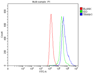 TRANK1 Rabbit Polyclonal Antibody