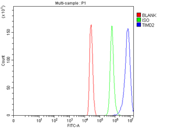 Tim 2/Timd2 Rabbit Polyclonal Antibody