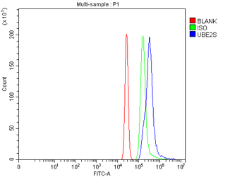 UBE2S Antibody