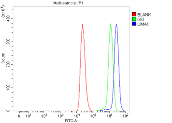 EPLIN/LIMA1 Rabbit Polyclonal Antibody