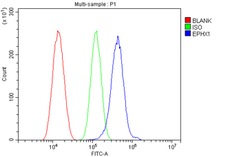 Epoxide hydrolase/EPHX1 Rabbit Polyclonal Antibody