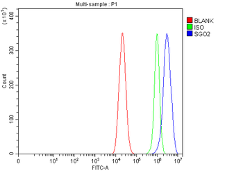 SGO2 Rabbit Polyclonal Antibody