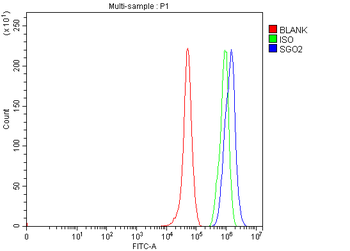 SGO2 Rabbit Polyclonal Antibody