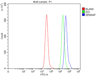 SEMA4F Antibody