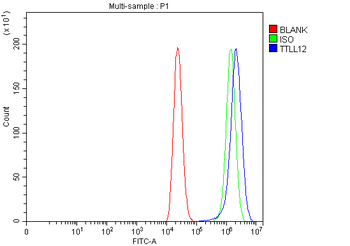 TTLL12 Rabbit Polyclonal Antibody