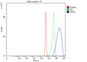 SFPQ Rabbit Polyclonal Antibody