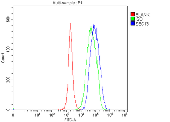 SEC13L1/SEC13 Rabbit Polyclonal Antibody