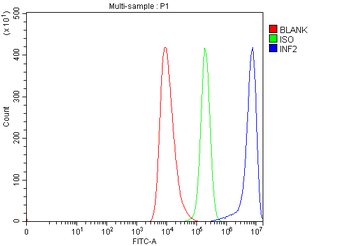 INF2 Rabbit Polyclonal Antibody