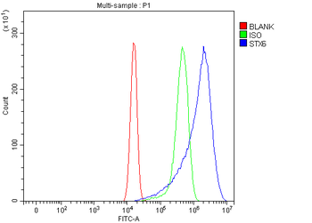 Syntaxin 6/STX6 Rabbit Polyclonal Antibody