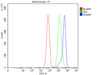 SLMAP Antibody