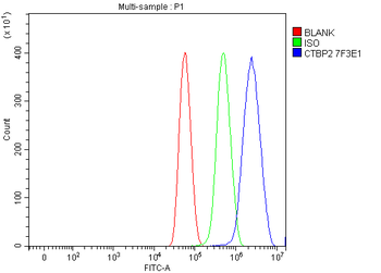 CTBP2 Antibody (monoclonal, 7F3E1)
