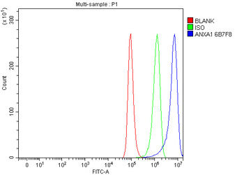 Annexin A1/ANXA1 Mouse Monoclonal Antibody