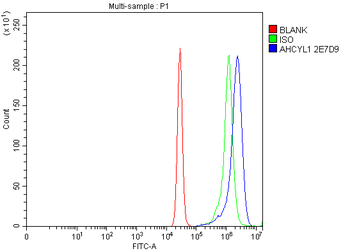 IRBIT/AHCYL1 Mouse Monoclonal Antibody
