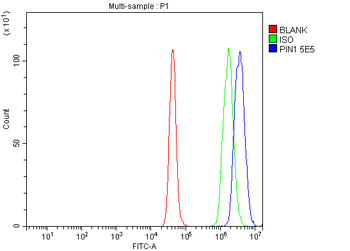 Pin1 Mouse Monoclonal Antibody