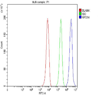 RPS14 Antibody
