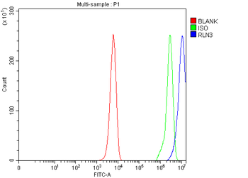 RLN3 Rabbit Polyclonal Antibody