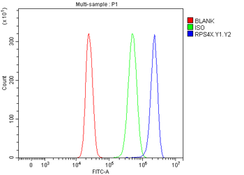 RPS4/X/Y1/Y2 Rabbit Polyclonal Antibody