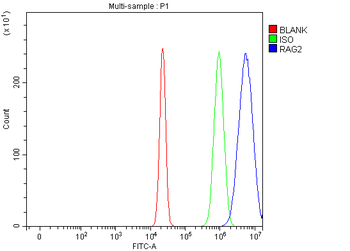 RAG2 Rabbit Polyclonal Antibody