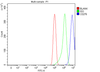 CD276 Antibody
