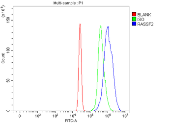 RASSF2 Rabbit Polyclonal Antibody