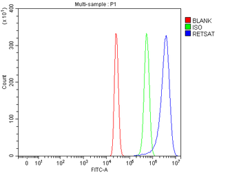 RETSAT Rabbit Polyclonal Antibody