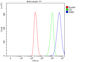 Thrombomodulin/THBD Rabbit Polyclonal Antibody
