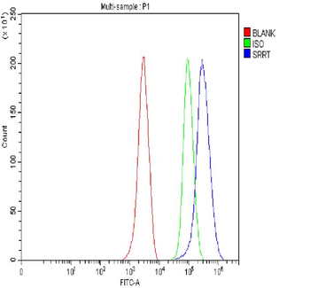 ARS2/SRRT Antibody