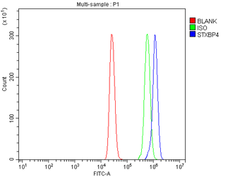 Synip/STXBP4 Rabbit Polyclonal Antibody