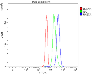 RAB7/RAB7A Antibody