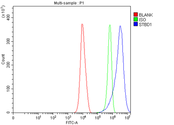 STBD1 Rabbit Polyclonal Antibody