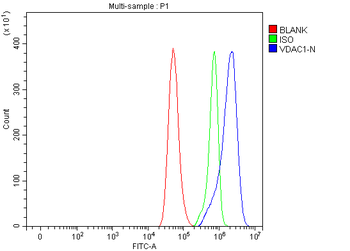 Porin/VDAC1 Antibody