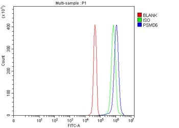 PSMD6 Rabbit Polyclonal Antibody