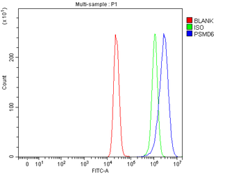 PSMD6 Rabbit Polyclonal Antibody