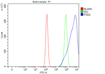PSD2 Rabbit Polyclonal Antibody