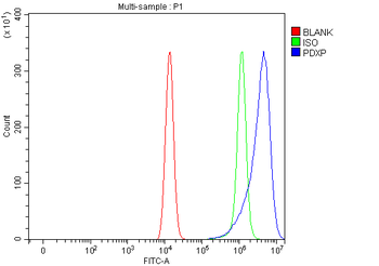 PDXP Rabbit Polyclonal Antibody
