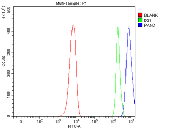 PAN2 Rabbit Polyclonal Antibody