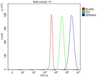 SEMA4A Rabbit Polyclonal Antibody