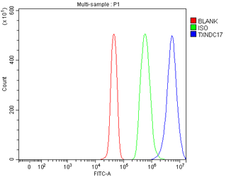 TXNDC17 Rabbit Polyclonal Antibody