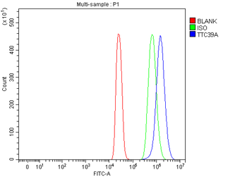 TTC39A Rabbit Polyclonal Antibody