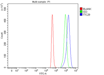 TTC29 Rabbit Polyclonal Antibody