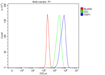 TWF1 Rabbit Polyclonal Antibody