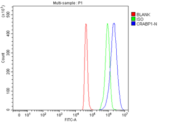 CRABP1 Rabbit Polyclonal Antibody