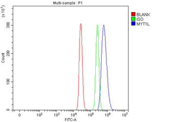 MYT1L Rabbit Polyclonal Antibody