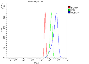 Malectin/MLEC Rabbit Polyclonal Antibody