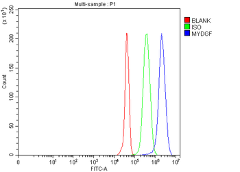 C19orf10/MYDGF Antibody