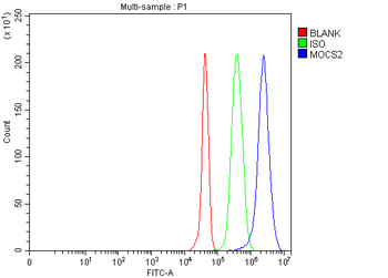 MOCS2 Rabbit Polyclonal Antibody