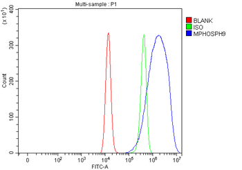 MPHOSPH9 Rabbit Polyclonal Antibody