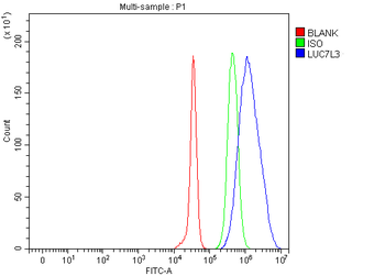 CROP/LUC7L3 Antibody